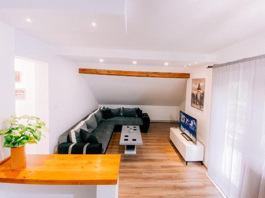 Apartman Aleksandar Lux Palić Dış mekan fotoğraf