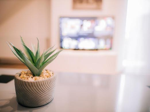 Apartman Aleksandar Lux Palić Dış mekan fotoğraf