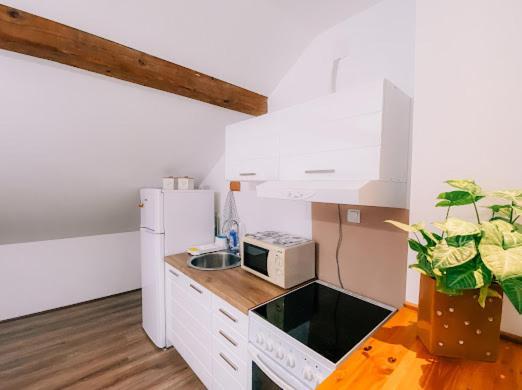Apartman Aleksandar Lux Palić Dış mekan fotoğraf